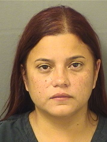  YADIRA DELRISCO Results from Palm Beach County Florida for  YADIRA DELRISCO