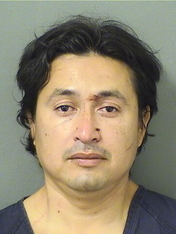  JOSE ORTEGASEQUEIRA Results from Palm Beach County Florida for  JOSE ORTEGASEQUEIRA