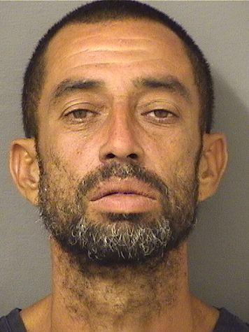  DAVID REYES Results from Palm Beach County Florida for  DAVID REYES