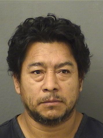  HIGINIO ALEJANDRO HERNANDEZGOMEZ Resultados de la busqueda para Palm Beach County Florida para  HIGINIO ALEJANDRO HERNANDEZGOMEZ