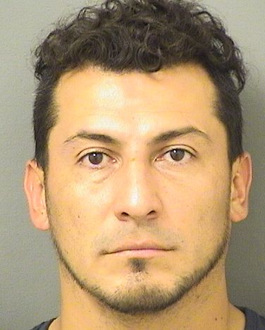  JUAN JOSE GOMEZ Results from Palm Beach County Florida for  JUAN JOSE GOMEZ