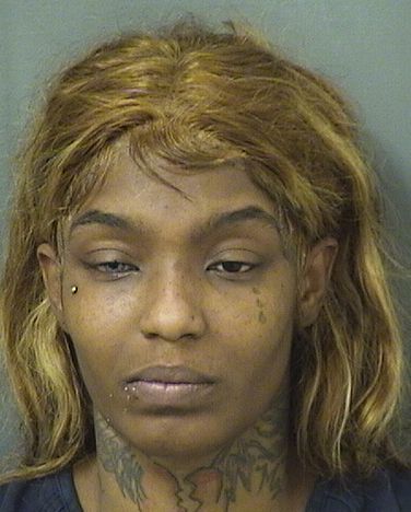  BRENDA TELUSME Results from Palm Beach County Florida for  BRENDA TELUSME