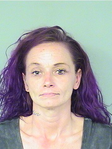  RHONDA ELAINE JOHNSON Results from Palm Beach County Florida for  RHONDA ELAINE JOHNSON