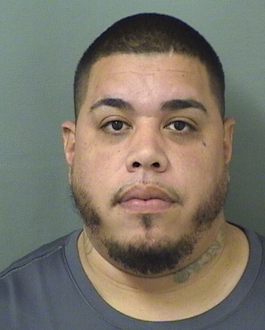  NESTOR TORRES Results from Palm Beach County Florida for  NESTOR TORRES