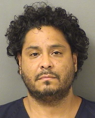  JAVIER ANRES LABORDE Results from Palm Beach County Florida for  JAVIER ANRES LABORDE