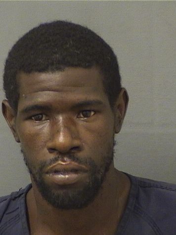  DAVID JAMANE Jr BIRD Photo