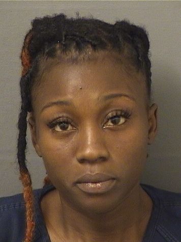  ADELINE MICHEL Results from Palm Beach County Florida for  ADELINE MICHEL