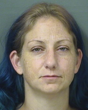  ELIZABETH ANN HEDIGER Results from Palm Beach County Florida for  ELIZABETH ANN HEDIGER