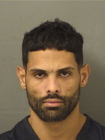  JULIO CESAR GONZALEZHERNANDEZ Results from Palm Beach County Florida for  JULIO CESAR GONZALEZHERNANDEZ