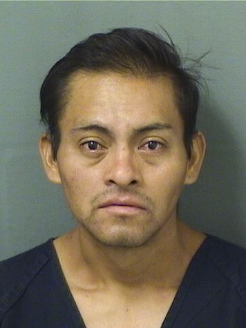  ILARIO LOPEZORTIZ Results from Palm Beach County Florida for  ILARIO LOPEZORTIZ