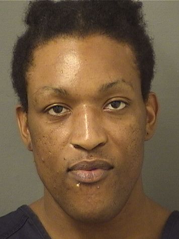  DOMINICK RAYNAL JOHNSON Results from Palm Beach County Florida for  DOMINICK RAYNAL JOHNSON