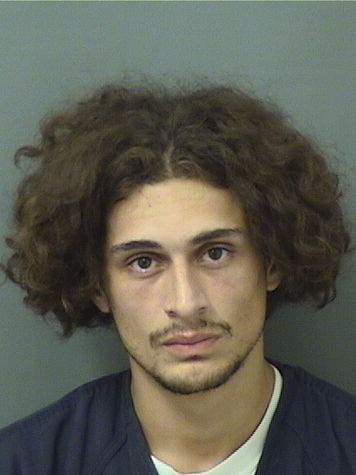  LEEMARTIN TAVERAS Results from Palm Beach County Florida for  LEEMARTIN TAVERAS