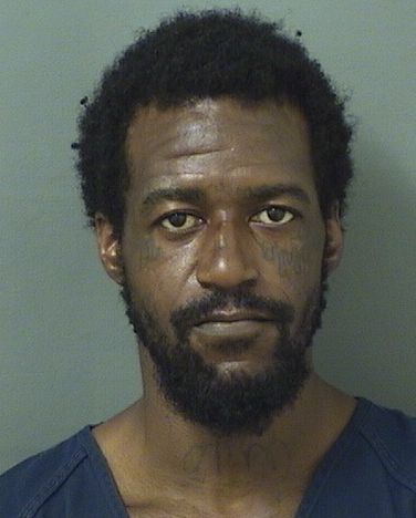  LYNOTT MARTE OWENS Results from Palm Beach County Florida for  LYNOTT MARTE OWENS