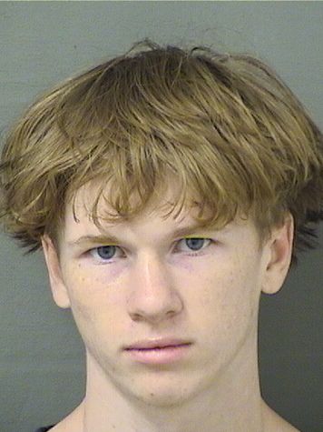  MICHAEL DAVID PUGH Results from Palm Beach County Florida for  MICHAEL DAVID PUGH
