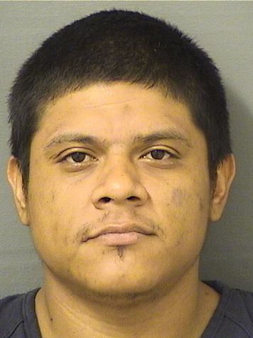 ELVIS FERRERA Results from Palm Beach County Florida for  ELVIS FERRERA