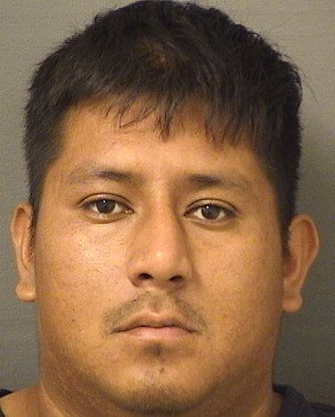  COSQUI JAVIER GARCIARAMIREZ Results from Palm Beach County Florida for  COSQUI JAVIER GARCIARAMIREZ