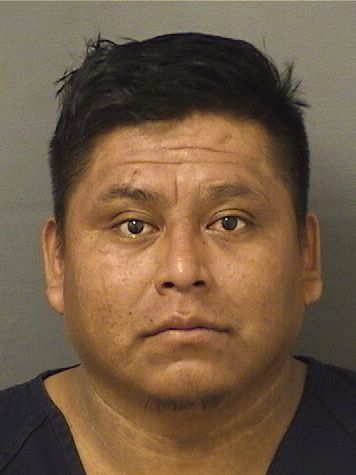 TOMAS PEDRO JUAN Results from Palm Beach County Florida for  TOMAS PEDRO JUAN
