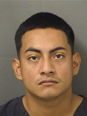 JORDY ALVARADO Results from Palm Beach County Florida for JORDY ALVARADO JORDY ALVARADO Results from Palm Beach County Florida for JORDY ALVARADO