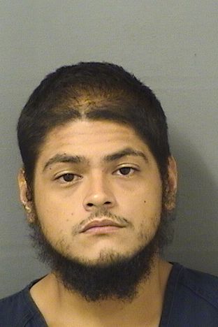  DAVID CORADO Resultados de la busqueda para Palm Beach County Florida para  DAVID CORADO