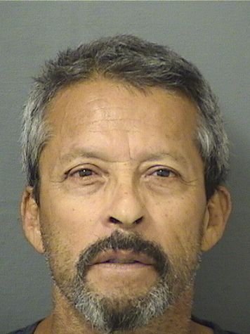  JULIO C CERVANTES Results from Palm Beach County Florida for  JULIO C CERVANTES