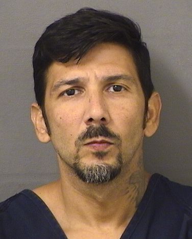  DAVID ANDREW MORA Results from Palm Beach County Florida for  DAVID ANDREW MORA