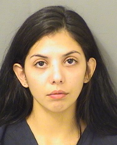  DELORY DAYAN MURILLO Results from Palm Beach County Florida for  DELORY DAYAN MURILLO