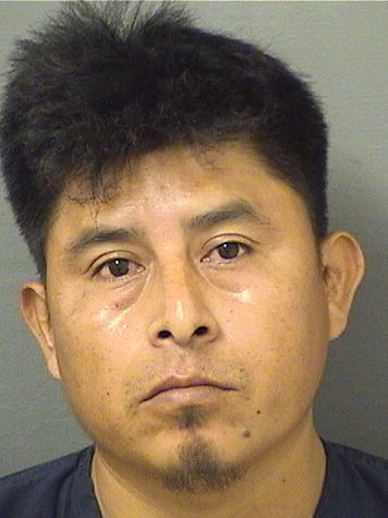  ANTONIO CHIVALANUS Results from Palm Beach County Florida for  ANTONIO CHIVALANUS