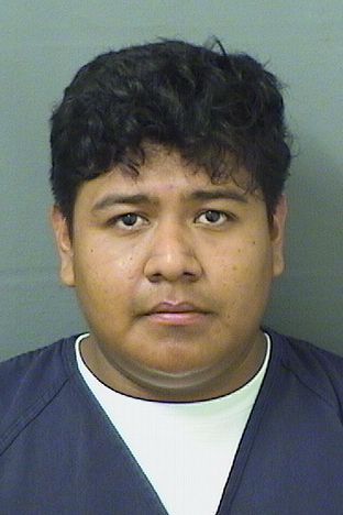  ALEXANDER MALAGAMALAGA Results from Palm Beach County Florida for  ALEXANDER MALAGAMALAGA