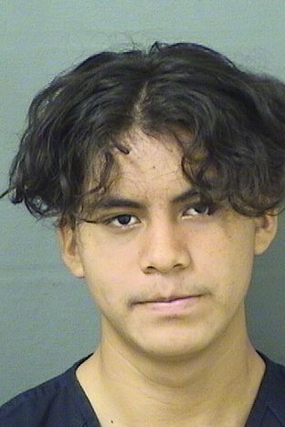  NESTOR O VELASQUEZZACARIAS Results from Palm Beach County Florida for  NESTOR O VELASQUEZZACARIAS