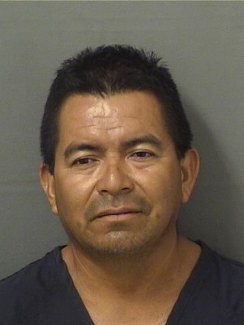  JOSUE BARILLASCORTES Results from Palm Beach County Florida for  JOSUE BARILLASCORTES