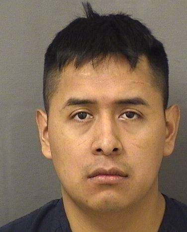  ABEL FRANCISCO CEDILLOCETO Results from Palm Beach County Florida for  ABEL FRANCISCO CEDILLOCETO