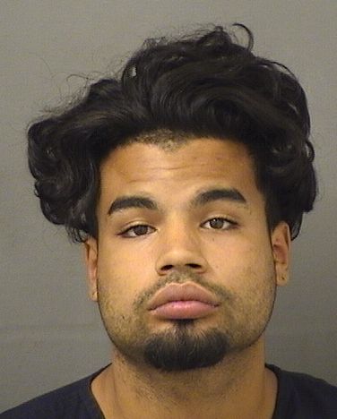  LUIS DANIEL RIVERA Results from Palm Beach County Florida for  LUIS DANIEL RIVERA