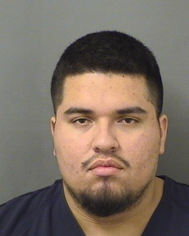  DELIO H Jr MOLINA Results from Palm Beach County Florida for  DELIO H Jr MOLINA