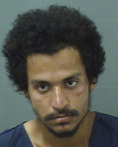  DAVID CACERES Results from Palm Beach County Florida for  DAVID CACERES