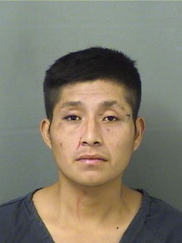 ALEX MORALESMALDONADO Photos For ALEX MORALESMALDONADO ALEX MORALESMALDONADO Photo For ALEX MORALESMALDONADO