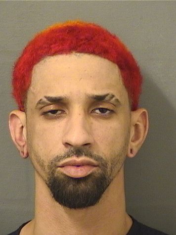  YAMIL ERNESTO MARTINEZGOMEZ Results from Palm Beach County Florida for  YAMIL ERNESTO MARTINEZGOMEZ