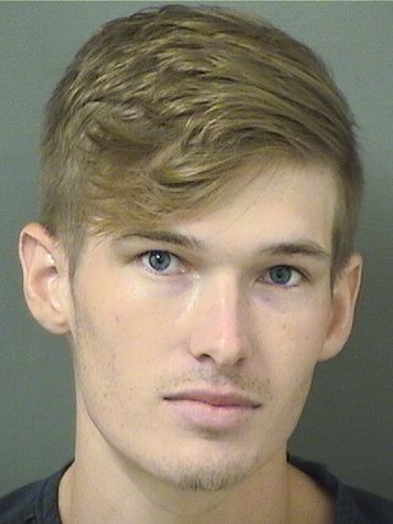  DYLAN MICHAEL SLONE Results from Palm Beach County Florida for  DYLAN MICHAEL SLONE