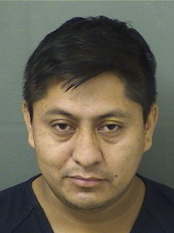  BYRON ROBERTO LOPEZMENDOZA Results from Palm Beach County Florida for  BYRON ROBERTO LOPEZMENDOZA