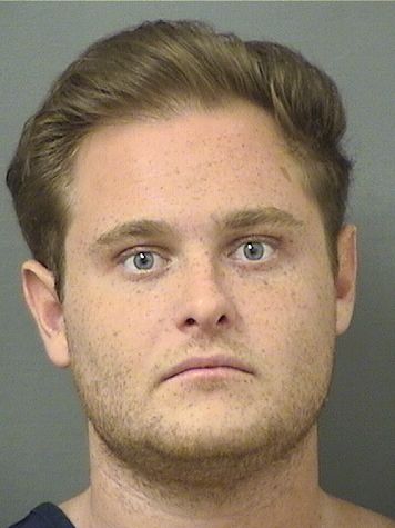  GIOVANNI NICHOLAS MATIRE Results from Palm Beach County Florida for  GIOVANNI NICHOLAS MATIRE