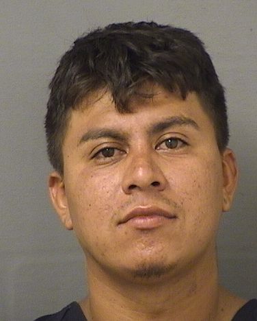  LEYBIN YOAN PALACIOSOCHOA Results from Palm Beach County Florida for  LEYBIN YOAN PALACIOSOCHOA