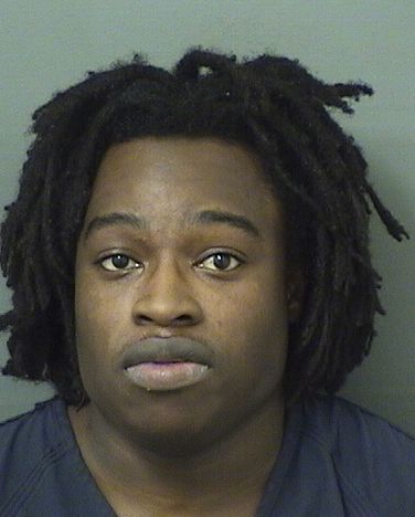  ELIJAH CAMERON NOEL Results from Palm Beach County Florida for  ELIJAH CAMERON NOEL