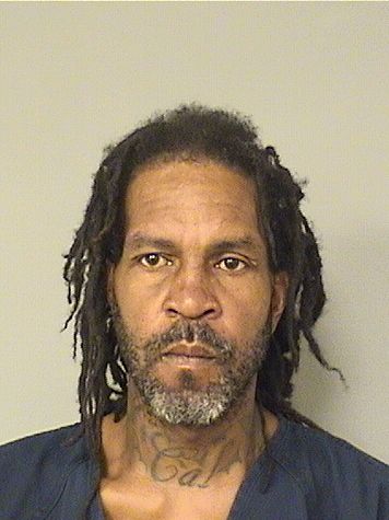  ANDRE COLLINE DENT Results from Palm Beach County Florida for  ANDRE COLLINE DENT