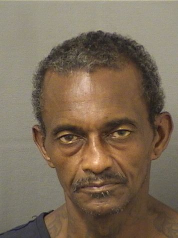  VERNELL OWENS Results from Palm Beach County Florida for  VERNELL OWENS