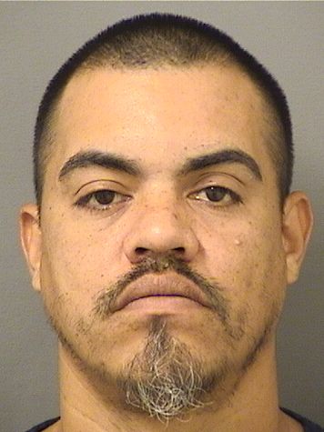  JOSE WILFREDO CENTENOORTEGA Results from Palm Beach County Florida for  JOSE WILFREDO CENTENOORTEGA