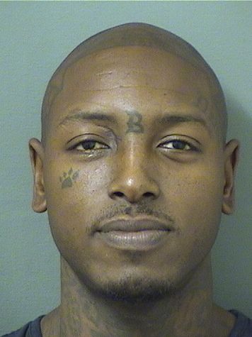  DIMITRI DELAROUS SMALLS Results from Palm Beach County Florida for  DIMITRI DELAROUS SMALLS