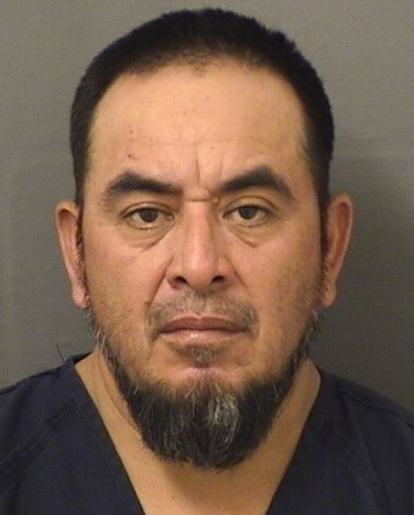 SALVCIO JACINTO MARIANO Results from Palm Beach County Florida for SALVCIO JACINTO MARIANO SALVCIO JACINTO MARIANO Results from Palm Beach County Florida for SALVCIO JACINTO MARIANO