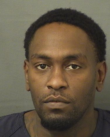  VLADYMY DESIR Results from Palm Beach County Florida for  VLADYMY DESIR