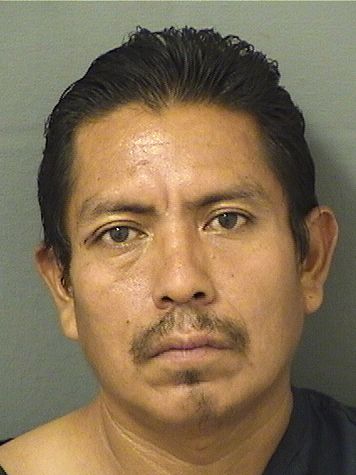 PASCUAL ANDRESMIGUEL Results from Palm Beach County Florida for PASCUAL ANDRESMIGUEL PASCUAL ANDRESMIGUEL Results from Palm Beach County Florida for PASCUAL ANDRESMIGUEL