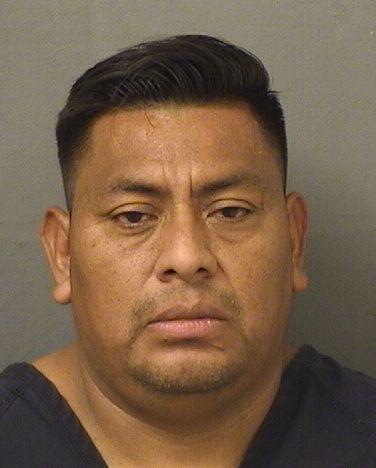  BRUNO BALDOMERO MARTINRAMIREZ Results from Palm Beach County Florida for  BRUNO BALDOMERO MARTINRAMIREZ