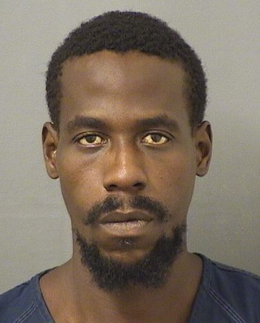  WILNER JEAN FRANCOIS Results from Palm Beach County Florida for  WILNER JEAN FRANCOIS